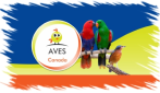 AVES Canada