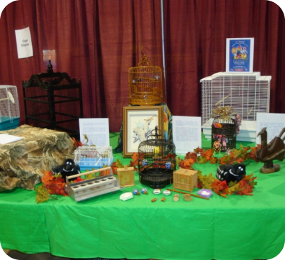 Bird display table decorated for the show
